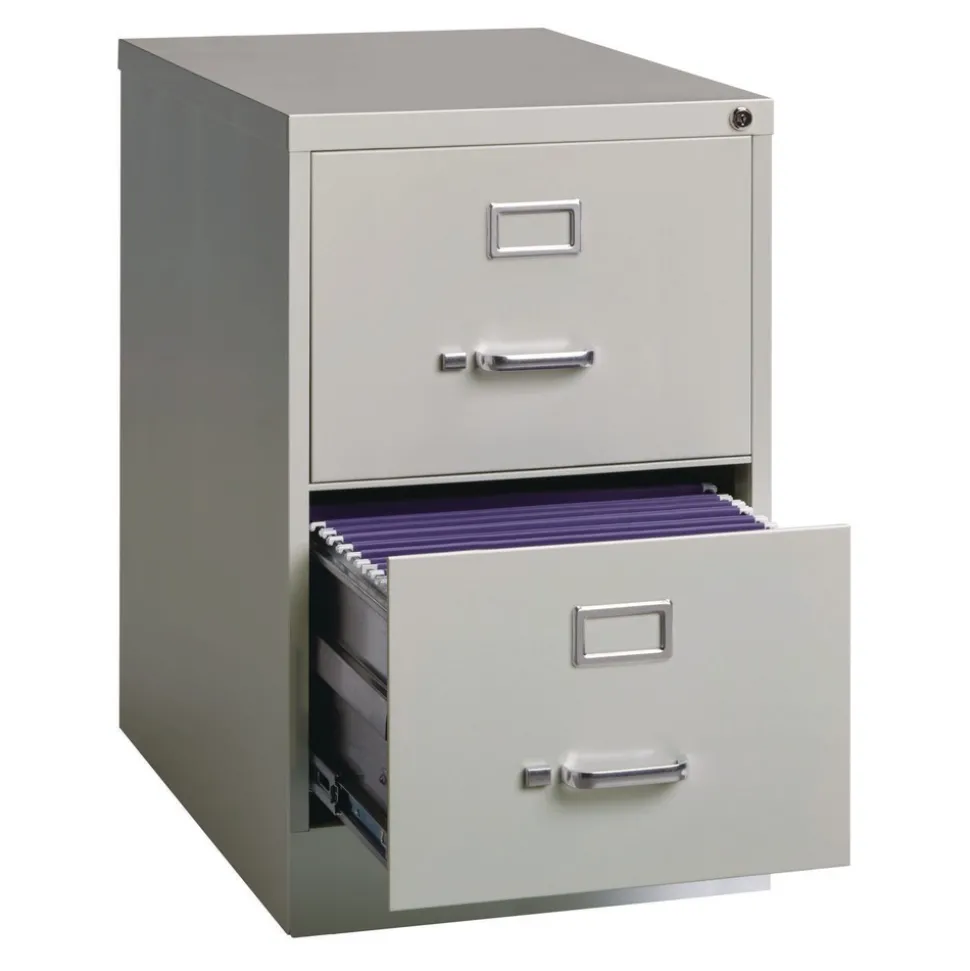 Alera 15 in. x 25 in. x 28.38 in. Legal-Size 2-Drawer Economy Vertical File - Light Gray