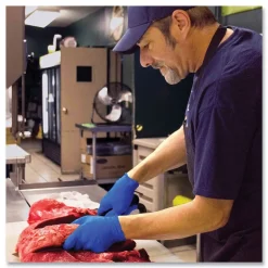 Ammex 9.5 in. 6 mil Heavy-Duty Industrial Nitrile Gloves - XX-Large/Royal Blue (1000/Carton)