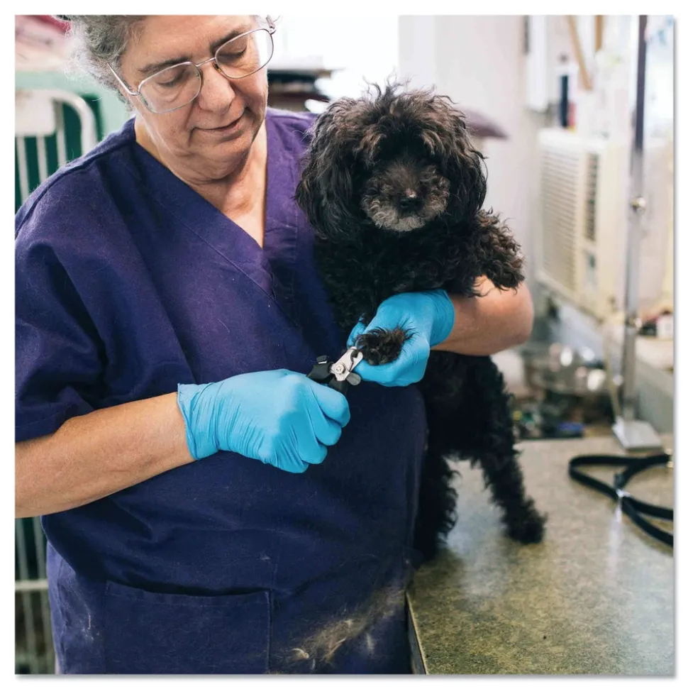 Ammex 9.5 in. Long 3 mil Powder-Free Nitrile Exam Gloves - Medium/Light Blue (1000/Carton)