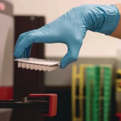 Ammex 8 mil Blue Powder-Free Nitrile Exam Gloves - X-Large, Blue (500/Carton)