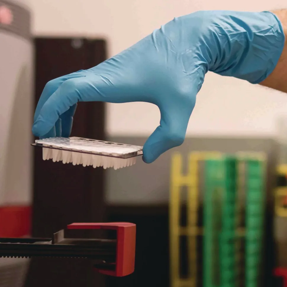 Ammex 8 mil Blue Powder-Free Nitrile Exam Gloves - X-Large, Blue (500/Carton)