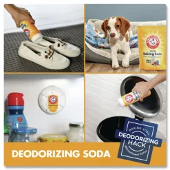 Arm & Hammer 5.5 oz. Fridge Fresh Baking Soda - Unscented (8/Carton)