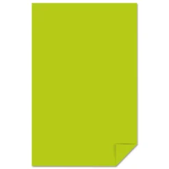 Astrobrights 11 in. x 17 in. 24 lbs. Bond Weight Color Paper - Terra Green (500/Ream)