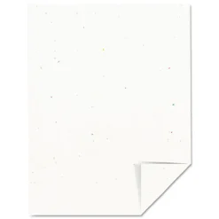 Astrobrights 8.5 in. x 11 in. 65 lbs. Cover Weight Color Cardstock - Stardust Flecked White (250/Pack)