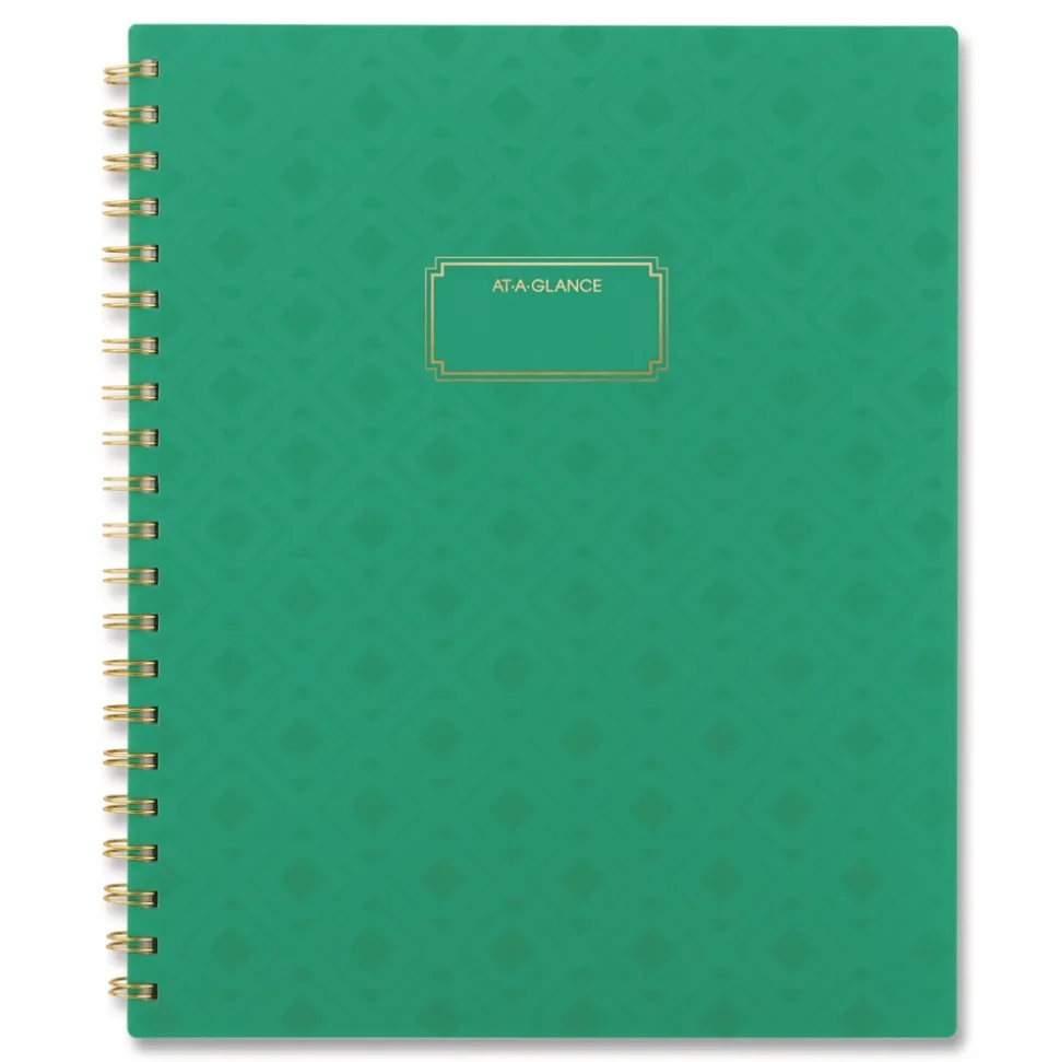 AT-A-GLANCE 11 in. x 8.5 in. 13-Month (Jan-Jan 2026) Badge Geo Weekly/Monthly Planner - Green Cover