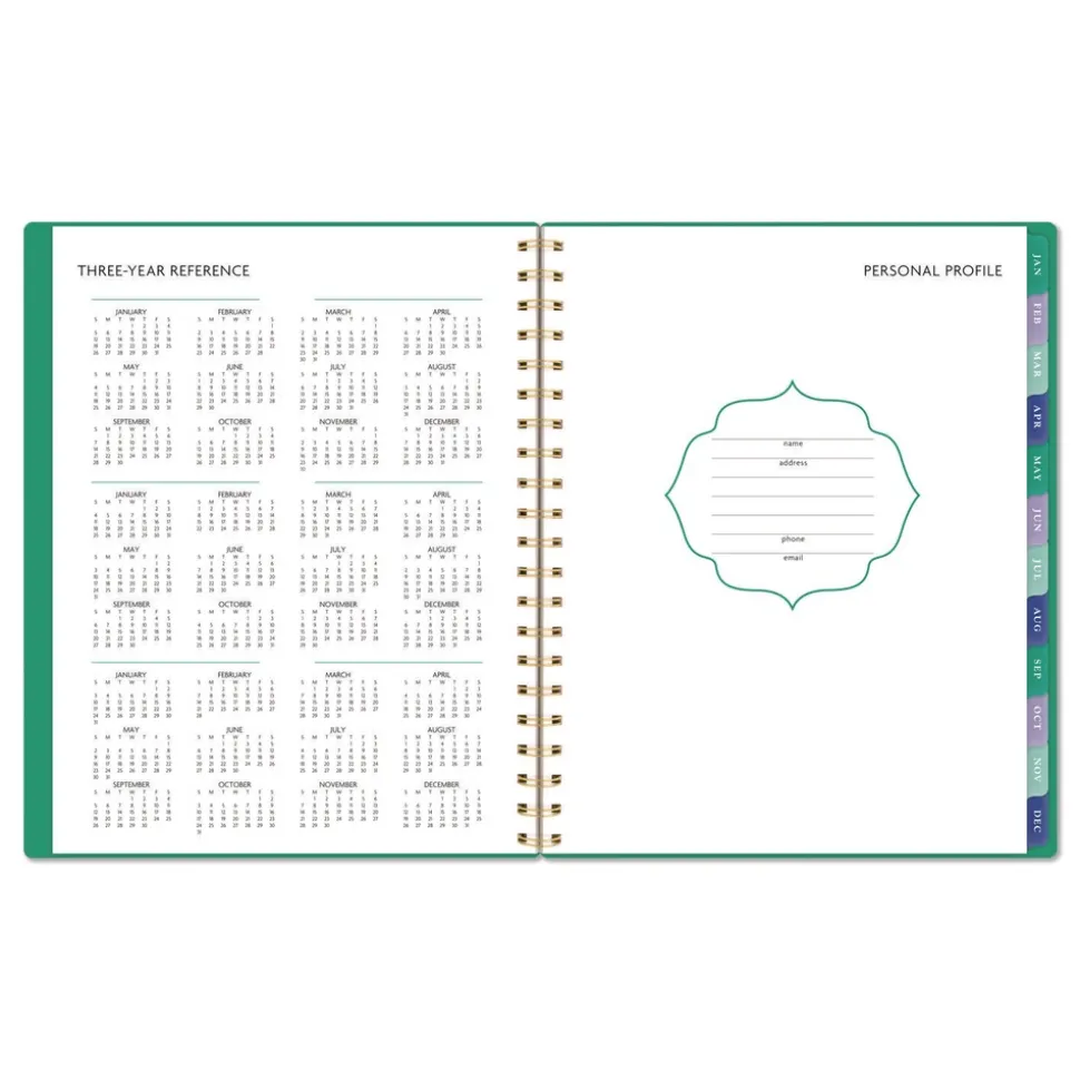 AT-A-GLANCE 11 in. x 8.5 in. 13-Month (Jan-Jan 2026) Badge Geo Weekly/Monthly Planner - Green Cover