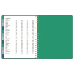 AT-A-GLANCE 11 in. x 8.5 in. 13-Month (Jan-Jan 2026) Badge Geo Weekly/Monthly Planner - Green Cover