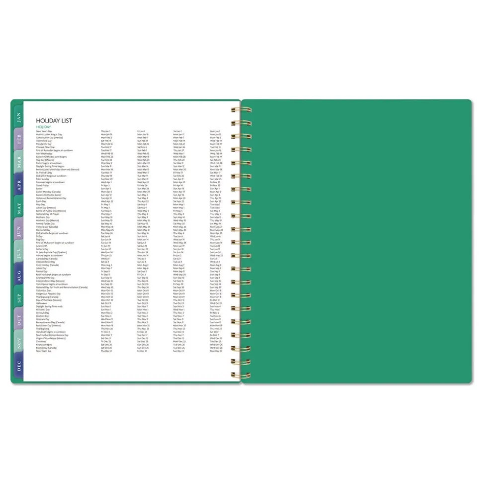 AT-A-GLANCE 11 in. x 8.5 in. 13-Month (Jan-Jan 2026) Badge Geo Weekly/Monthly Planner - Green Cover