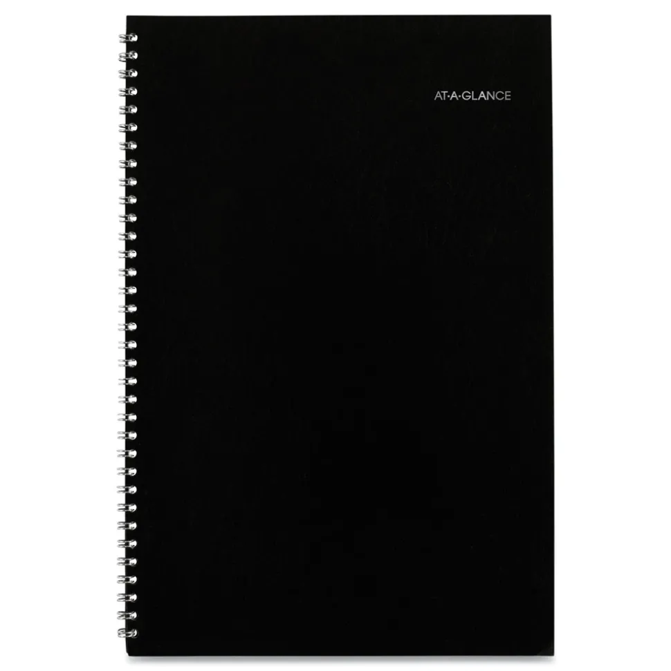 AT-A-GLANCE 12 in. x 8 in. 14-Month (Dec 2025-Jan 2027) DayMinder Monthly Planner - Black Cover