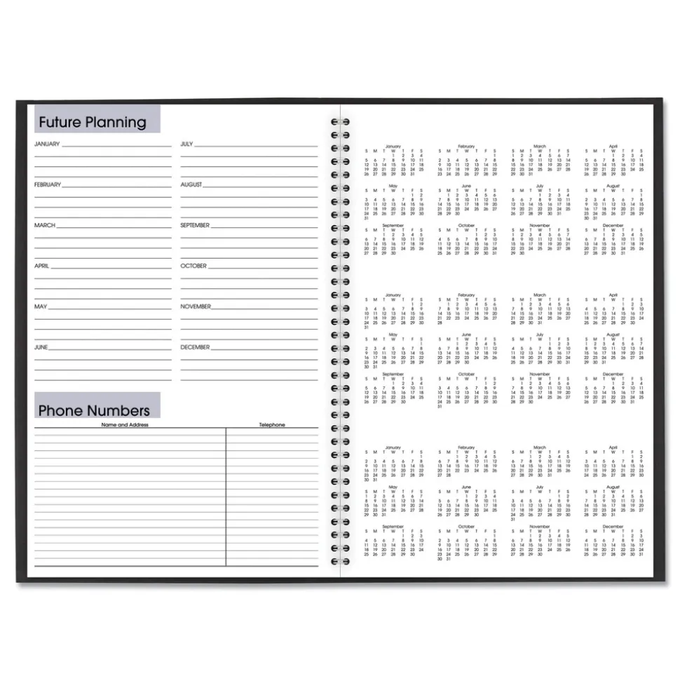AT-A-GLANCE 12 in. x 8 in. 14-Month (Dec 2025-Jan 2027) DayMinder Monthly Planner - Black Cover