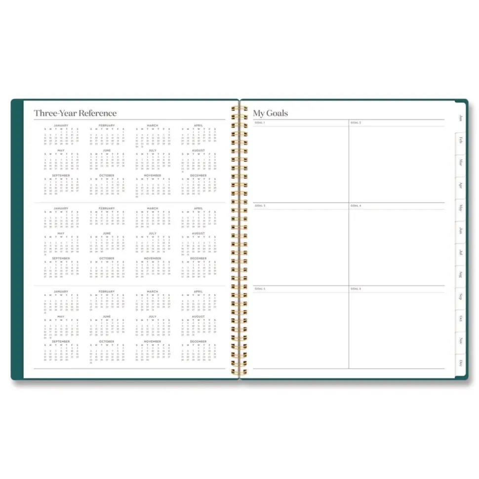 AT-A-GLANCE 11 in. x 8.5 in. 12-Month (Jan-Dec 2026) WorkStyle Poly Monthly Planner - Teal Cover