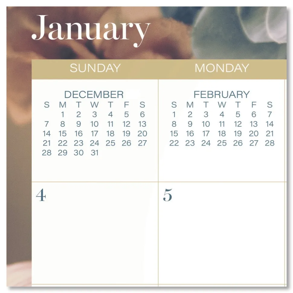 AT-A-GLANCE 15 in. x 12 in. 12-Month (Jan-Dec): 2026 Midnight Garden Monthly Wall Calendar - Floral Artwork