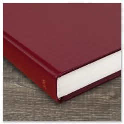 AT-A-GLANCE 12 in. x 7.75 in. Standard 2026 Edition Wide/Legal Rule Daily Diary - Red Cover