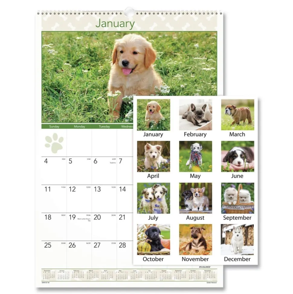 AT-A-GLANCE 12-Month (Jan to Dec): 2026 15.5 in. x 22.75 in. Puppies Photography Puppies Monthly Wall Calendar - White/Multicolor Sheets