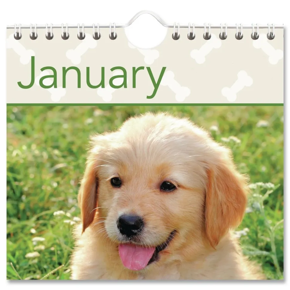 AT-A-GLANCE 12-Month (Jan to Dec): 2026 15.5 in. x 22.75 in. Puppies Photography Puppies Monthly Wall Calendar - White/Multicolor Sheets