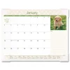 AT-A-GLANCE 12-Month (Jan to Dec): 2026 22 in. x 17 in. Puppies Photography Puppies Monthly Desk Pad Calendar - White Sheets, Clear Corners