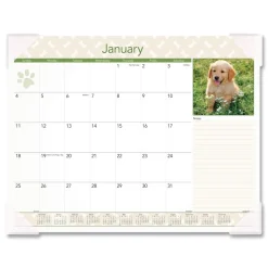 AT-A-GLANCE 12-Month (Jan to Dec): 2026 22 in. x 17 in. Puppies Photography Puppies Monthly Desk Pad Calendar - White Sheets, Clear Corners