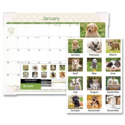 AT-A-GLANCE 12-Month (Jan to Dec): 2026 22 in. x 17 in. Puppies Photography Puppies Monthly Desk Pad Calendar - White Sheets, Clear Corners