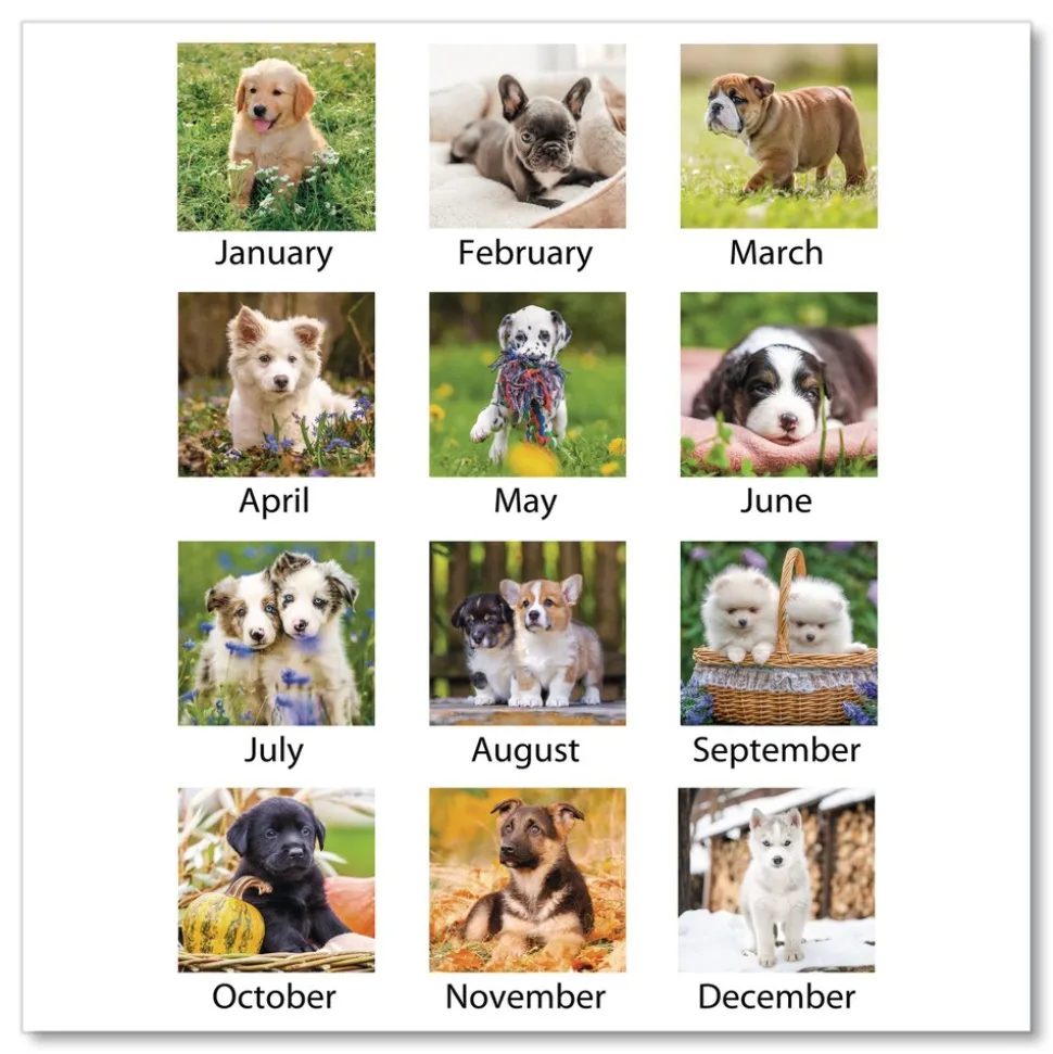 AT-A-GLANCE 12-Month (Jan to Dec): 2026 22 in. x 17 in. Puppies Photography Puppies Monthly Desk Pad Calendar - White Sheets, Clear Corners