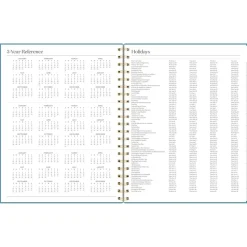 AT-A-GLANCE Workstyle 11 in. x 9.38 in. 12-Month (Jan to Dec) 2025 Geometric Artwork Weekly/Monthly Planner - Blue/Gold Cover