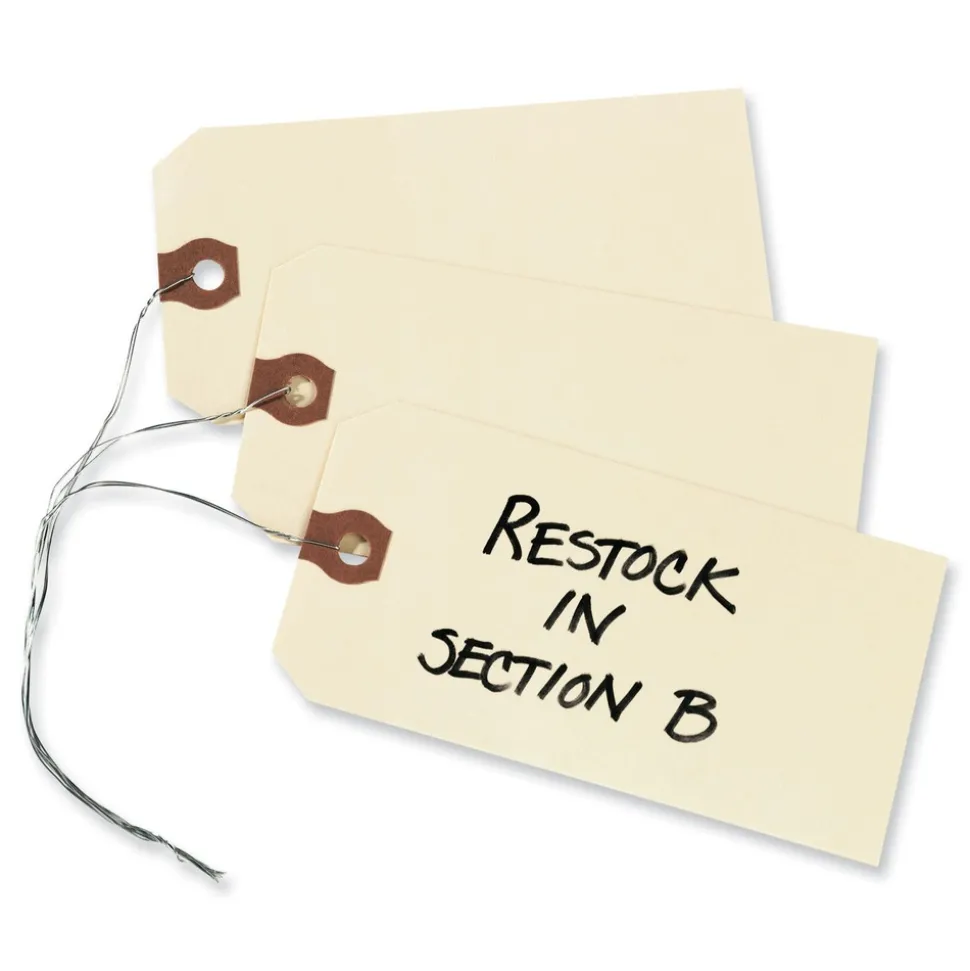 Avery 12606 5.25 in. x 2.63 in. 11.5 pt Stock Double Wired Shipping Tags - Manila (1000/Box)