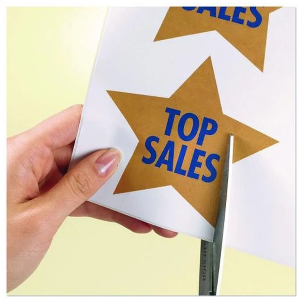 Avery 8.5 in. x 11 in. Shipping Labels-Bulk Packs for Inkjet/Laser Printers - White (250/Box)