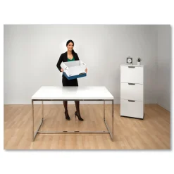 Bankers Box 12.75 in. x 16.5 in. x 10.38 in. R-KIVE Heavy-Duty Letter/Legal Storage Boxes with Dividers - White/Blue (12/Carton)