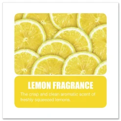 Big D Industries 150000 Enzym D 1-Gal. Digester Liquid Deodorant - Lemon (4/Carton)