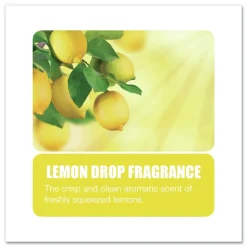 Big D Industries 7 oz Metered Concentrated Room Deodorant - Lemon Scent (12/Carton)