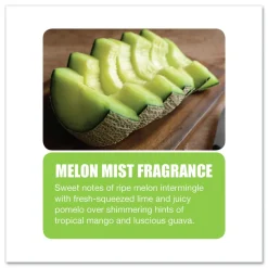 Big D Industries Diamond 3D Urinal Screen - Melon Mist Scent/Clear (6/Carton)