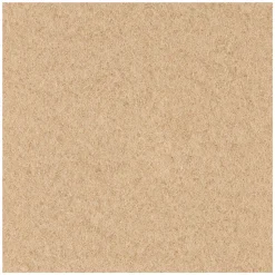 Boardwalk 27 in. Diameter Burnishing Floor Pads - Tan (5/Carton)