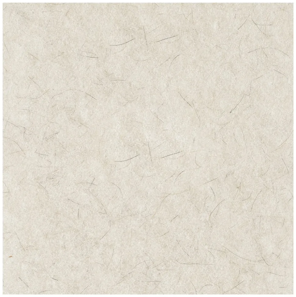 Boardwalk 17 in. Diameter Natural Burnishing Floor Pads - White (5/Carton)