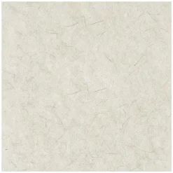 Boardwalk 27 in. Diameter Natural Burnishing Floor Pads - White (5/Carton)