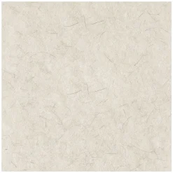 Boardwalk 19 in. Diameter Natural Burnishing Floor Pads - White (5/Carton)