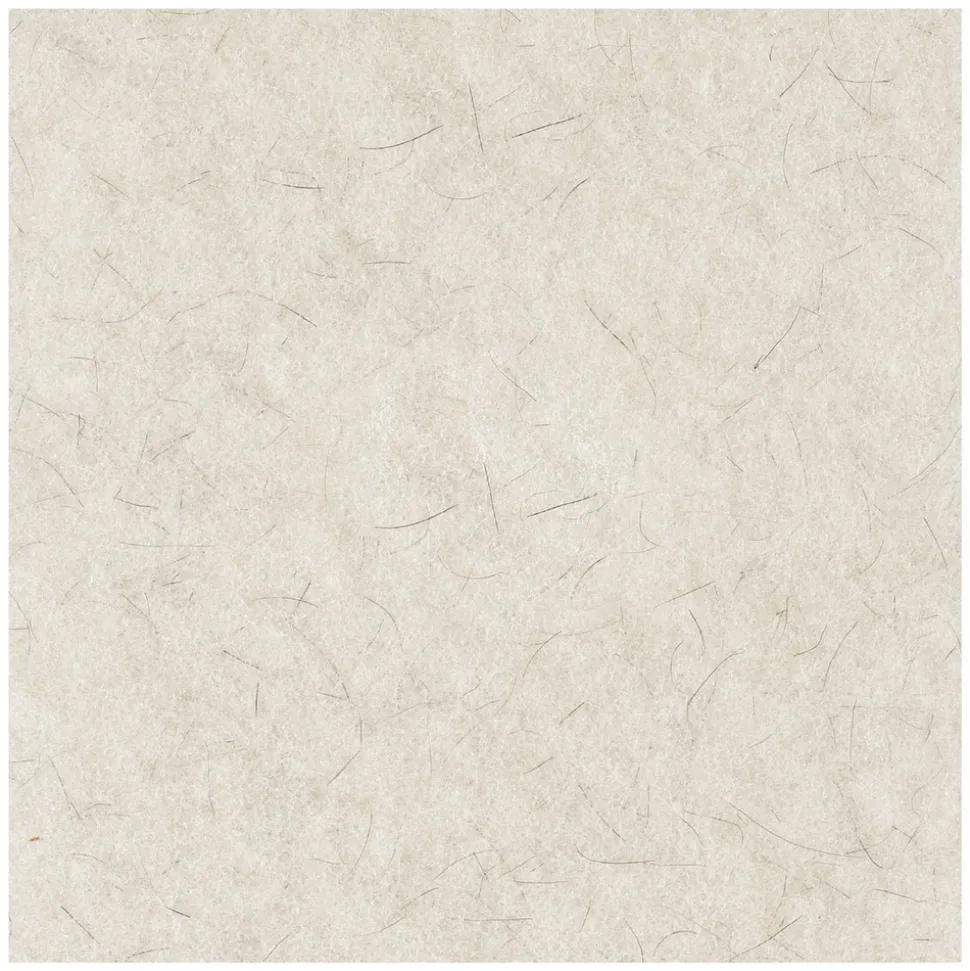 Boardwalk 19 in. Diameter Natural Burnishing Floor Pads - White (5/Carton)