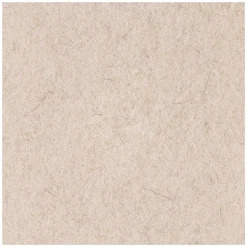 Boardwalk 17 in. Diameter Natural Hog Hair Burnishing Floor Pads - Tan (5/Carton)