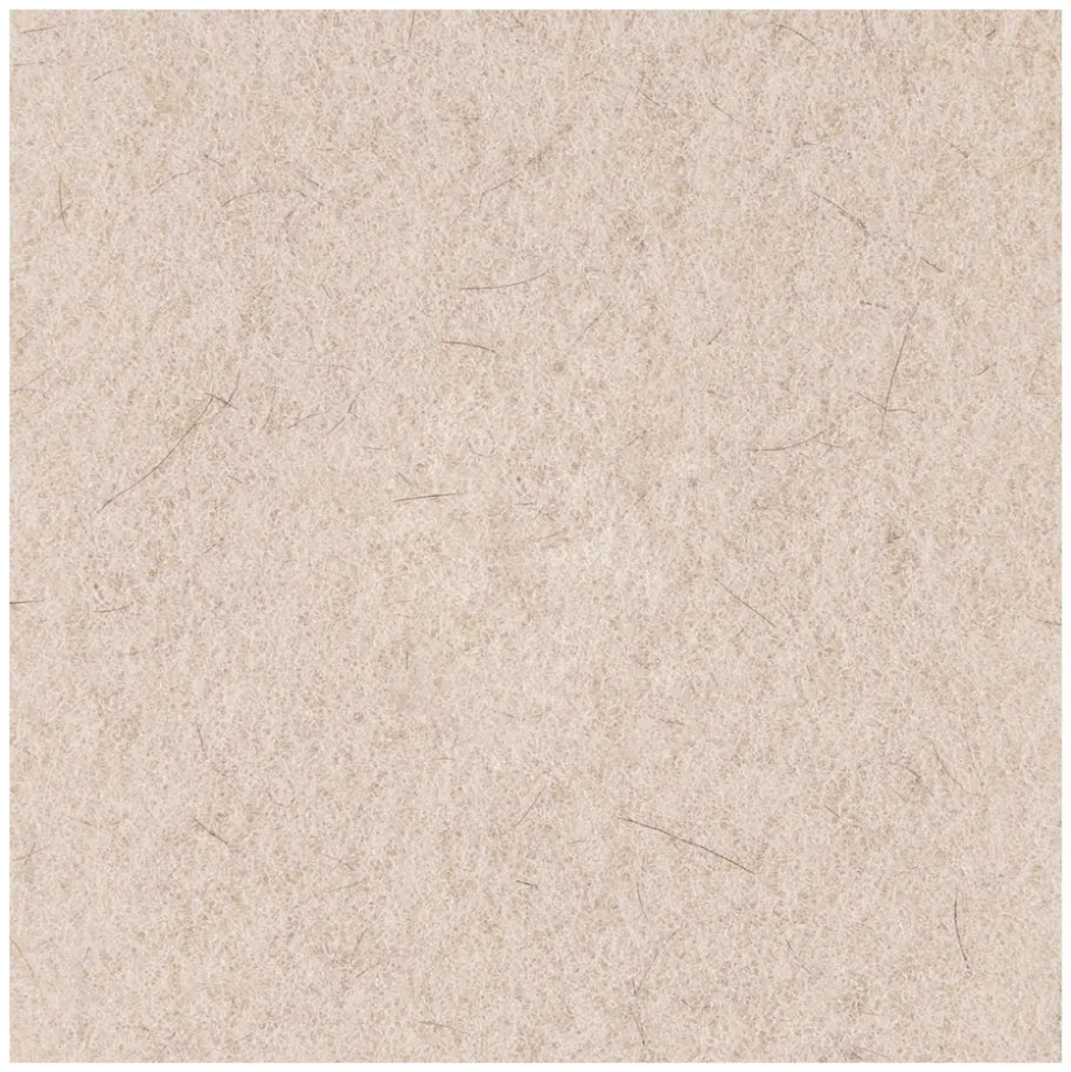 Boardwalk 17 in. Diameter Natural Hog Hair Burnishing Floor Pads - Tan (5/Carton)