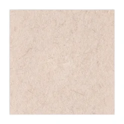 Boardwalk 20 in. Diameter Natural Hog Hair Burnishing Floor Pads - Tan (5/Carton)