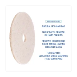 Boardwalk 20 in. Diameter Natural Hog Hair Burnishing Floor Pads - Tan (5/Carton)