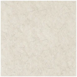 Boardwalk 24 in. Diameter Natural Burnishing Floor Pads - White (5/Carton)