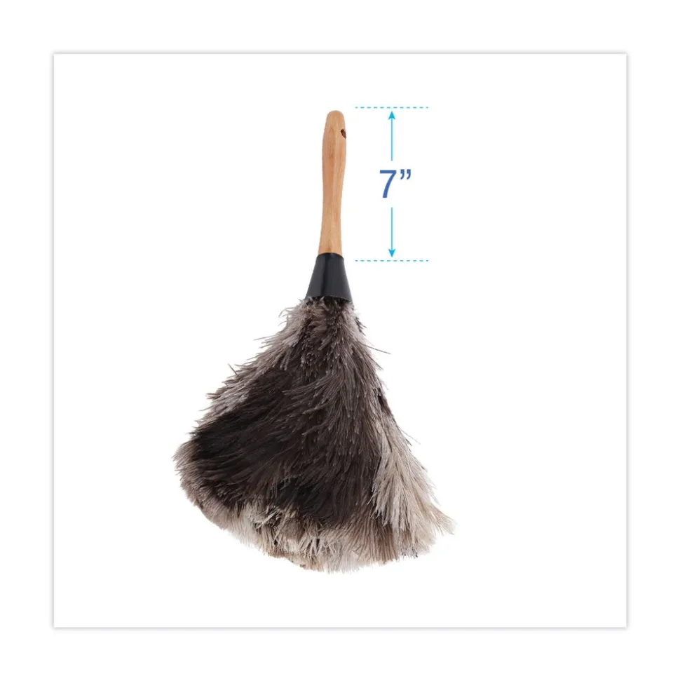 Boardwalk 7 in. Handle Professional Ostrich Feather Duster