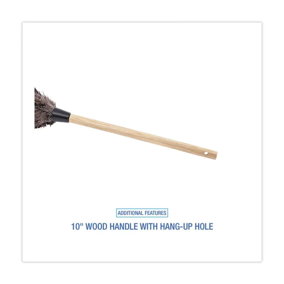 Boardwalk 10 in. Wood Handle Professional Ostrich Feather Duster