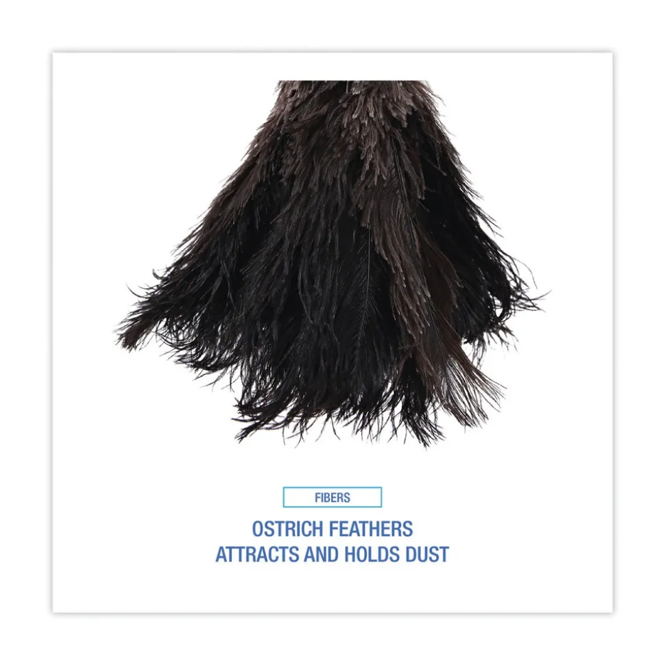 Boardwalk 10 in. Wood Handle Professional Ostrich Feather Duster