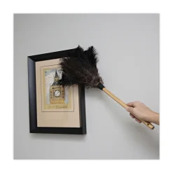 Boardwalk 10 in. Wood Handle Professional Ostrich Feather Duster