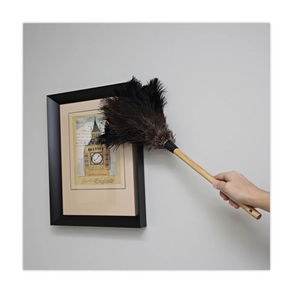 Boardwalk 10 in. Wood Handle Professional Ostrich Feather Duster