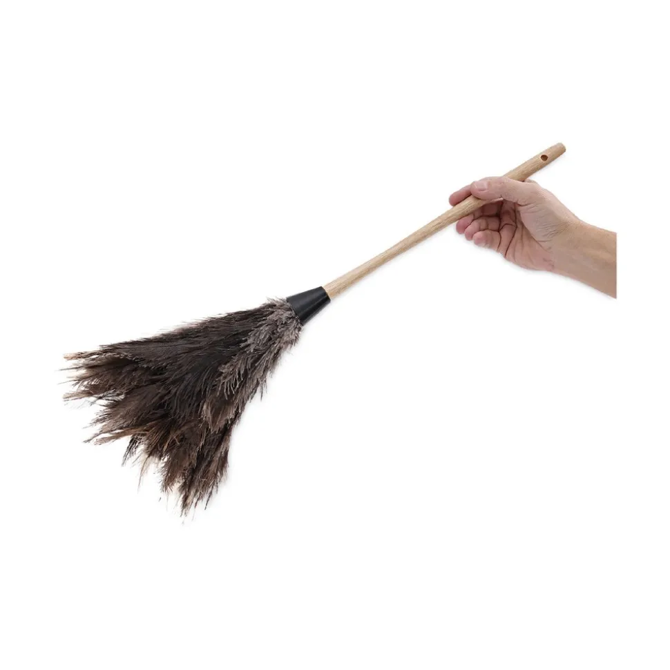 Boardwalk 13 in. Wood Handle Professional Ostrich Feather Duster