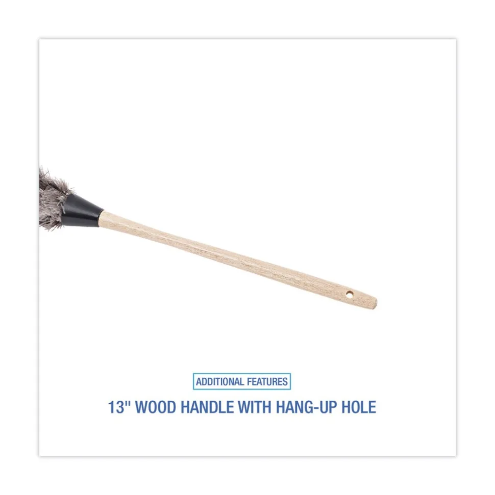 Boardwalk 13 in. Wood Handle Professional Ostrich Feather Duster