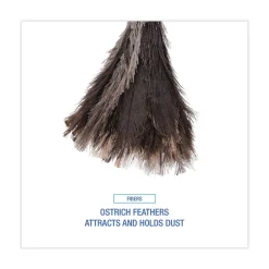 Boardwalk 13 in. Wood Handle Professional Ostrich Feather Duster
