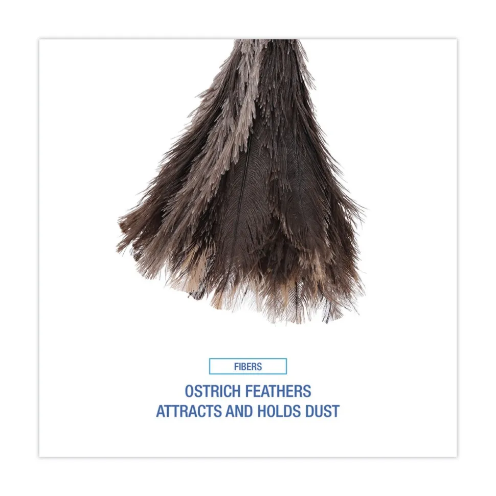 Boardwalk 13 in. Wood Handle Professional Ostrich Feather Duster