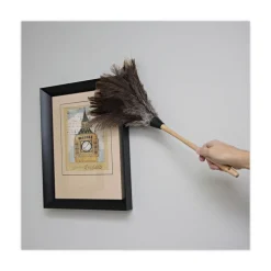 Boardwalk 13 in. Wood Handle Professional Ostrich Feather Duster